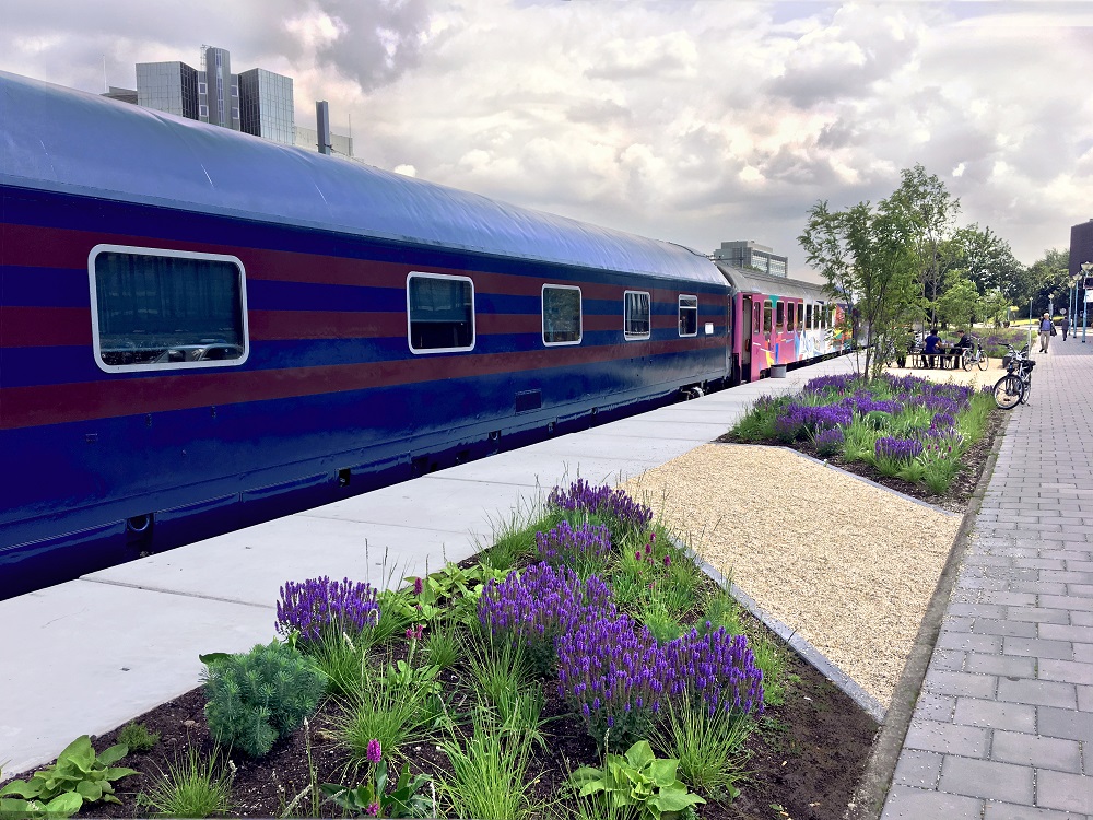 trein-loge