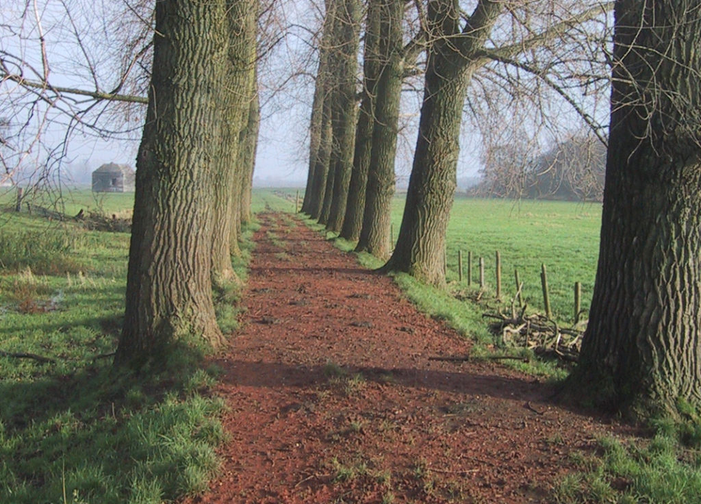 REDscape-2004.17-Horstermeerpolder-W2